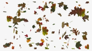 Falling Leaf Png Image - Animated Falling Leaves Background