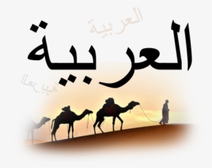 Arabic To English - Kill Yourself In Arabic