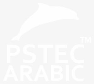 Pstec Arabic Logo Transperent Png - System Frugt Logo