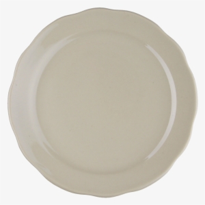 Cdsc-6 - Plate