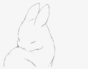 Bunny Ears Transparent Download - Manga Rabbit