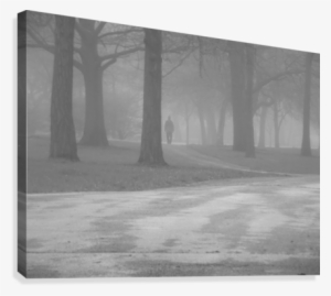 Mystery Fog Man Canvas Print - Grove