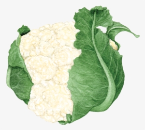Cauliflower - Art