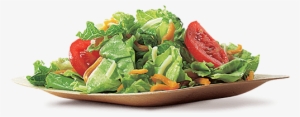 Garden Side Salad - Burger King Salad