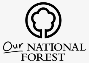 Bringing Young People And The Forest Together - National Academy Of Osteopathy