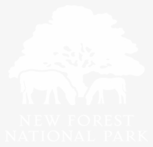 New Forest National Park Tour Guide - New Forest National Park Logo