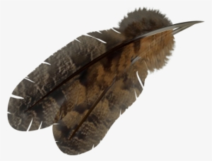 Feather-2 - Brown Feathers Png