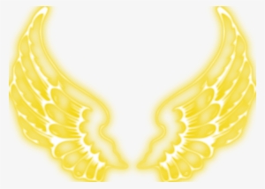 zoom diseño y fotografía - asas de anjo azul png