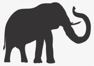 E Mais Um Elefante Nasceu Um Lindo Elefantinho Verde - Png Logo Elefante
