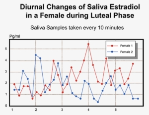 Diurnal Changes Of Saliva Estradiol In A Femal During - Gilbert Match Xv Rugby Ball