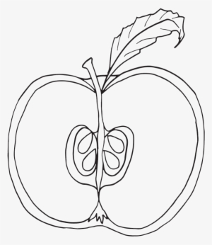 Parts Of An Apple Coloring Pages, Nomenclature Cards, - Parts Of An Apple Coloring Page