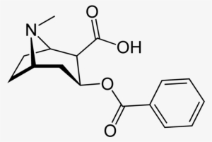 Benzoylmethylecgonine Or Cocaine - Diaminopropionic Acid