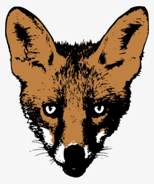 Drawing Fox Face - Fox Face Drawing