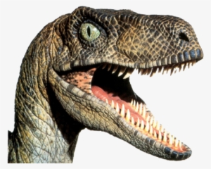 16k Badchat 24 Feb 2015 - Should You Never Fight A Dinosaur Meme