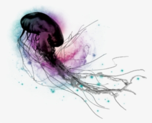 Jellyfish Psd