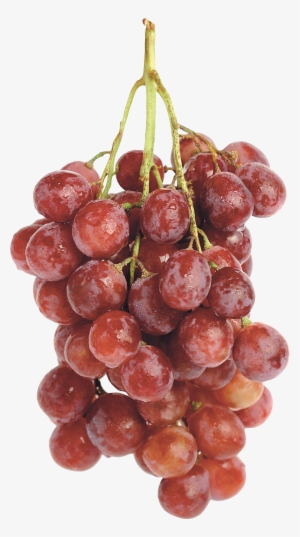 Grape Png Image, Free Picture Download - 一 串 葡萄