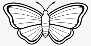 Butterfly Black Black And White Butterflies Pictures - Butterfly Coloring  Pages Transparent PNG - 6978x3573 - Free Download on NicePNG