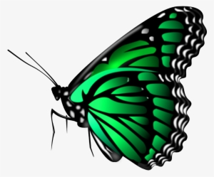 All New Editing Png Download, Picsart Png - Clipart Papillon