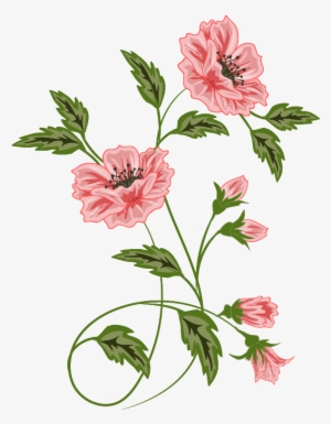 Flowers, Vector Flora Pattern, Borders And Frames, - Flowers Vector