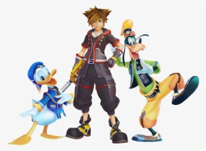 One Of The Biggest Things People Have Been Wondering - Game Character Kingdom Hearts