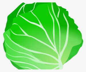 Lettuce Clipart Repolyo - Green Fruit Clip Art