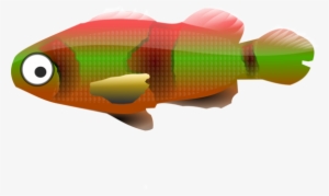 Koi Bony Fishes Showa Goldfish - Gambar Ikan Gapi Kartun
