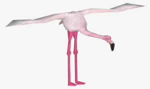 Lesser Flamingo - Lesser Flamingo Png