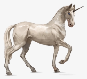 Real Unicorn Png