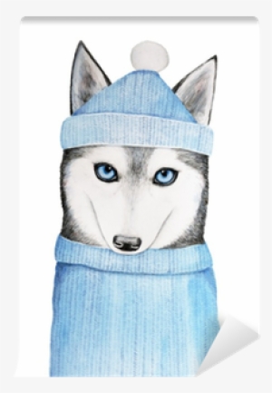 Cute Husky Dog In A Blue Winter Hat And Warm Sweater - Sweater