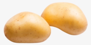 Potatoes - Russet Burbank Potato