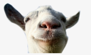 Goat - Goat Simulator