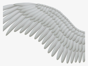 Angel Wings Png - Wings Png