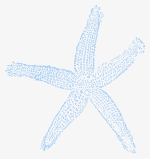 Drawn Starfish Blue Starfish
