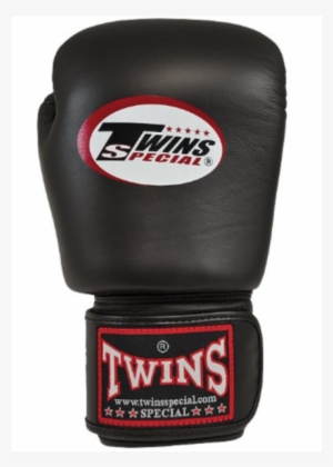 More Views - Twins Thai Boxing Gloves