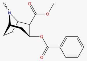 Cocaine Structure