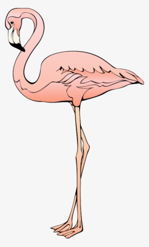 Flamingo 3 Svg Clip Arts 360 X 597 Px