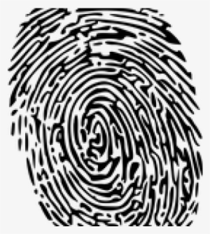 Fingerprint Png Transparent Images - Transparent Fingerprint Illustration