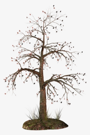 0, - Transparent Background Dead Tree