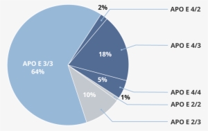 Pie Chart Showing Percentages Of Apo E Gene Types - Apo E 2