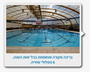 Pool - Swimming Pool