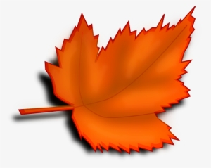 Maple, Autumn, Fall, Leaf, Orange, Shades - Frunze Toamna
