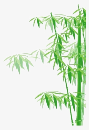 Bamboo Tree Png