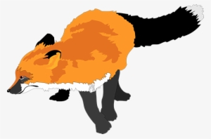 Fox Animal Wildlife Orange Coat Black Whit - Sly Fox Sticker