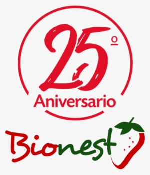Si Necesitas Información Sobre Bionest, No Dudes En - Happy Birthday Pillow Case