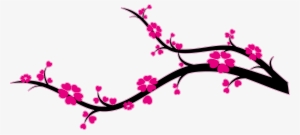 Branche Cerisier Du Japon