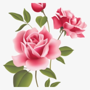 Bunga Pink Png - Bunga Mawar Pink Png