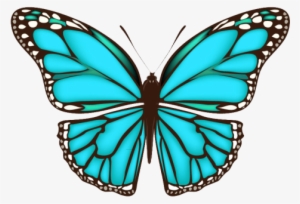 Borboleta Azul - Simple Butterfly Wing Design