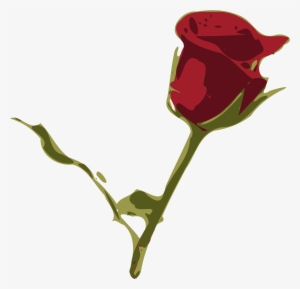 Rosa Png