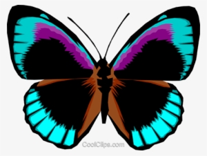 Butterfly Royalty Free Vector Clip Art Illustration - Cool Butterflies