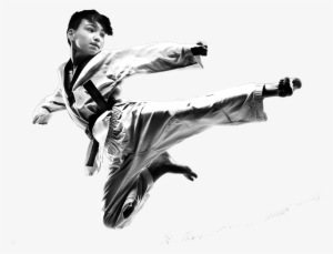 Martial Arts Program - Karate